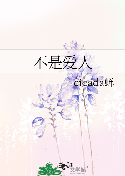 不是爱人