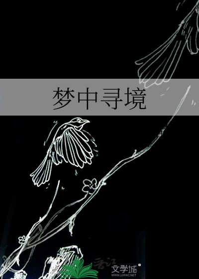 梦中寻境