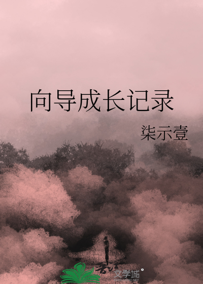 向导成长记录