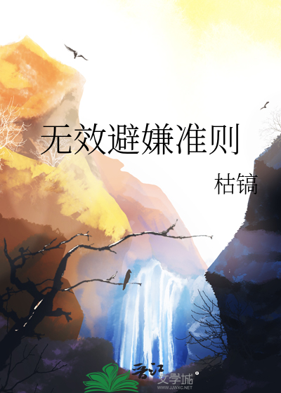 无效避嫌准则