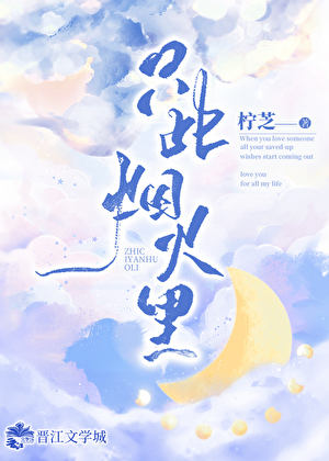 只此烟火里小说免费阅读