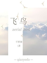 飞鸟和蝉歌词
