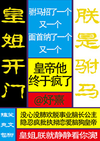 皇姐开门朕是驸马笔趣阁在线阅读