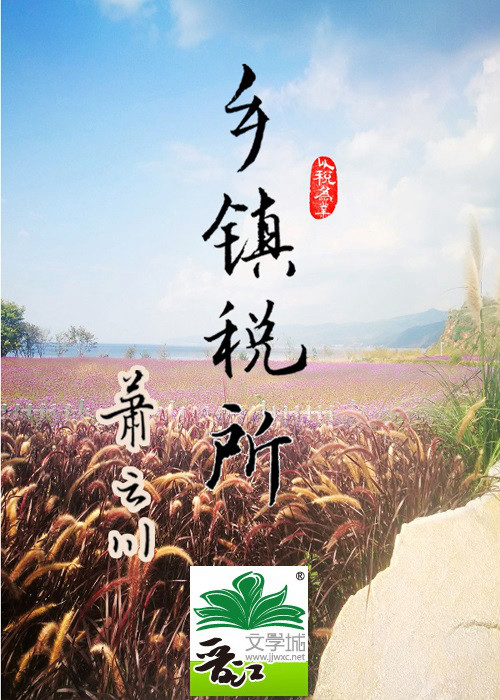 乡镇税所小说